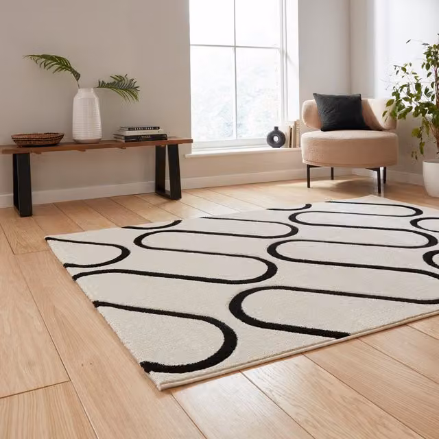 Catherine Lansfield Linear Curve Modern Geometric Rectangular Rug in White and Black
