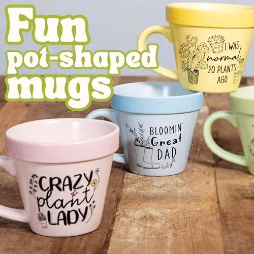 Boxer Gifts Crazy Plant Lady Floral Ceramic Mug, Pink and Multicolour – 3