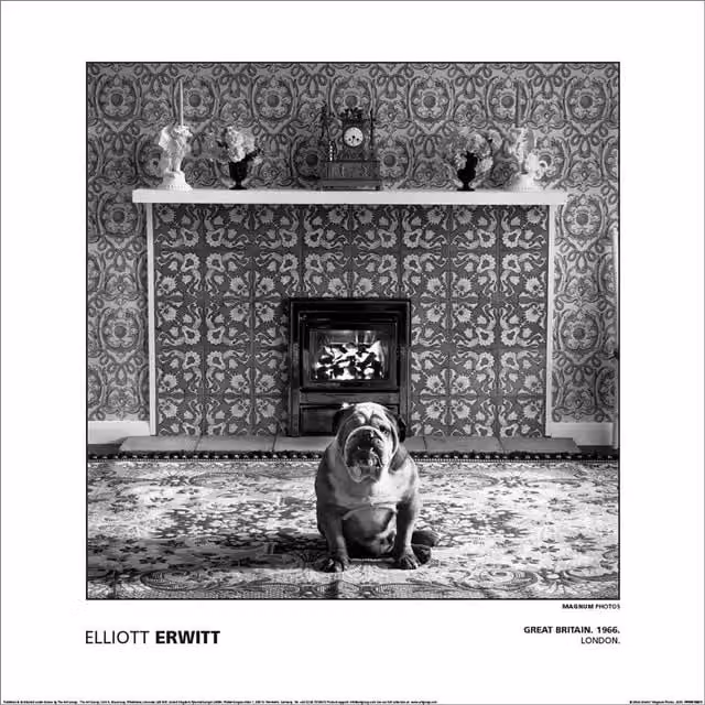 Magnum Elliot Erwitt Great Britain London 1966 Paper Poster in Grey – 1