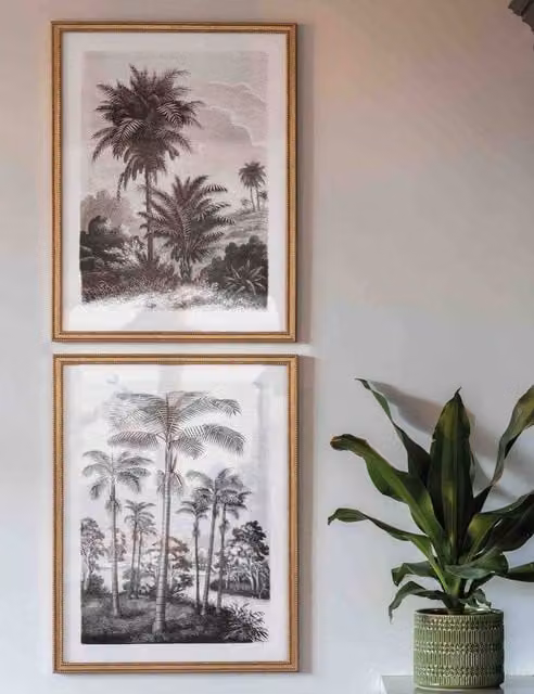Gallery Direct Set of 2 Colonial Sketches Botanical Illustration Paper Posters in Beige and Gold Rectangular Frames