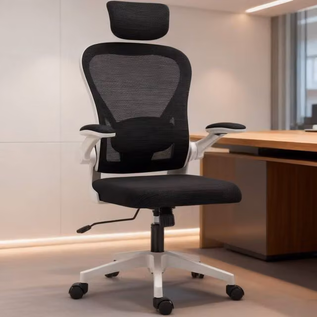 ERGOVEXA Black Fabric Executive Office Chair with Headrest and Armrests