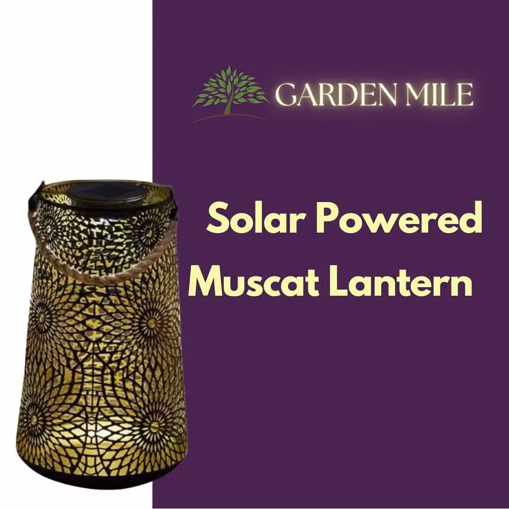 Marco Paul Solar LED Moroccan Garden Lantern in Brown, Height: 24 cm – 5