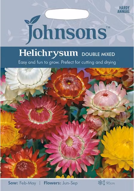 Johnsons Helichrysum Double Mixed Multicolour Flower Seeds