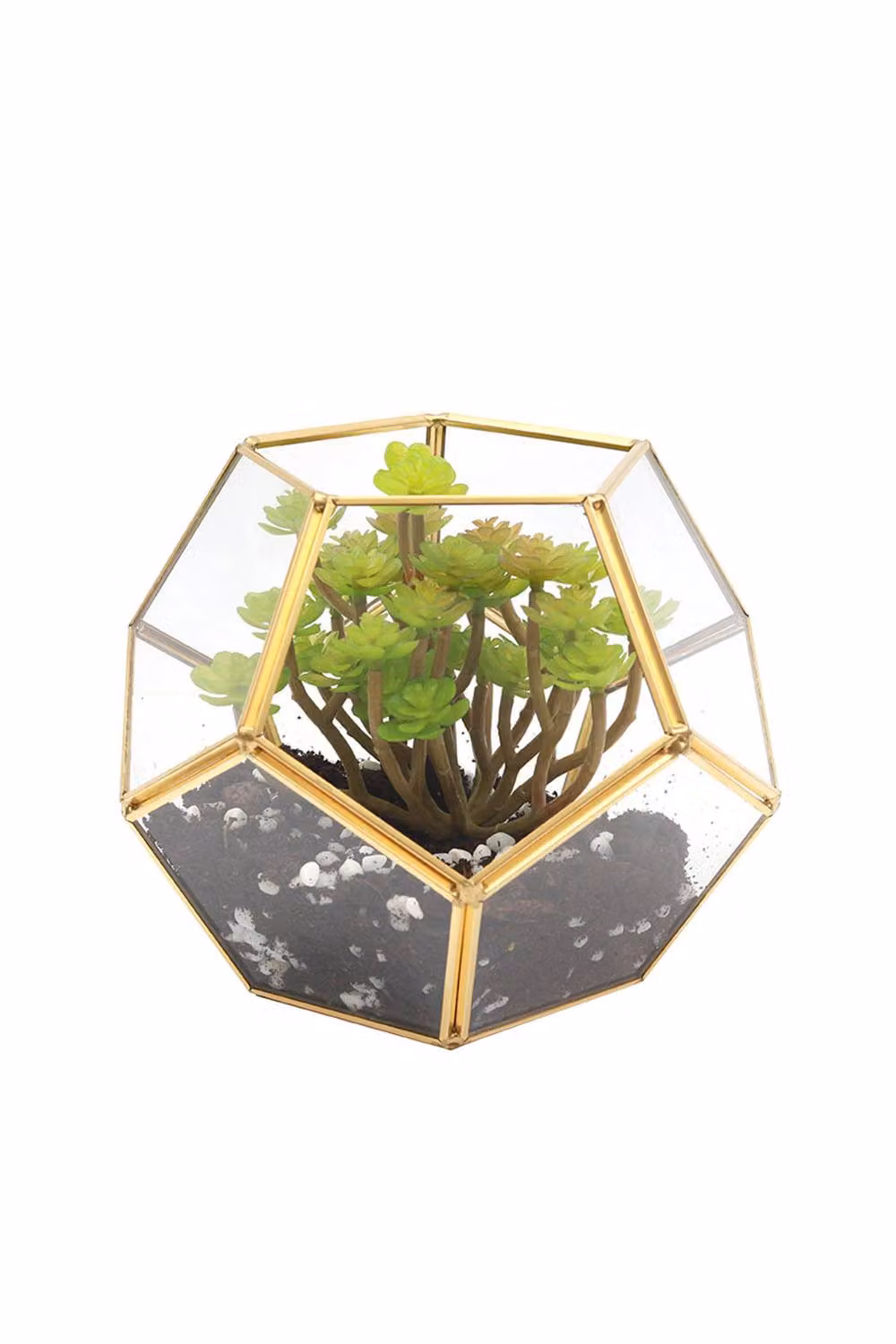 Living and Home Geometric Dodecahedron Glass and Metal Tabletop Plant Terrarium Planter in Clear and Gold – 2