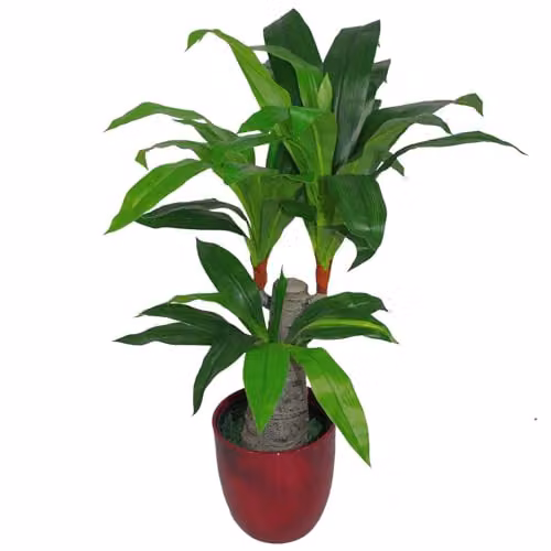 Leaf Design Spiky Tropical Artificial Potted Plant, Green, Height: 75 cm
