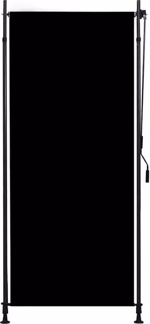 Berkfield Home Outdoor Roller Blind with Crank in Anthracite Black, W: 100 cm, H: 270 cm
