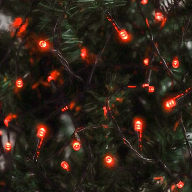 Voltico 50 LED Solar String Lights with Dusk Sensor in Red