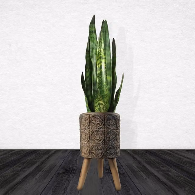 Zandi Flowers Leaf Composite Planter with Stand in Brown