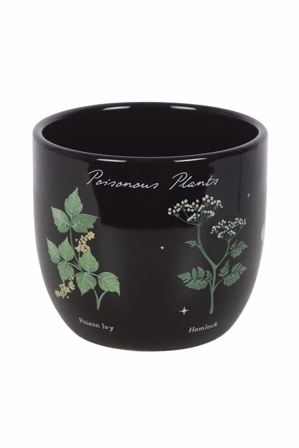 KDMD Poisonous Plants Ceramic Tabletop Pot in Black – 2