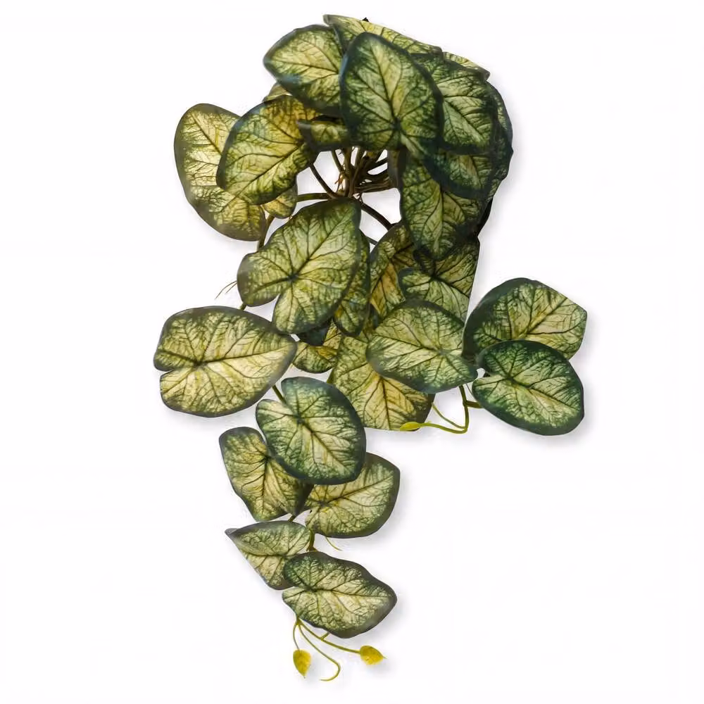 Botanik Trailing Variegated Caladium Vine Artificial Hanging Plant, Dark Green, Height: 40 cm, Width: 25 cm, Depth: 25 cm – 2