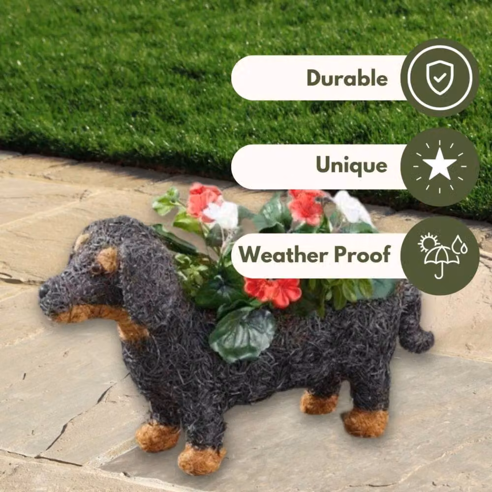 Marco Paul Sausage Dog Flower Planter, Brown, Height: 45 cm – 3