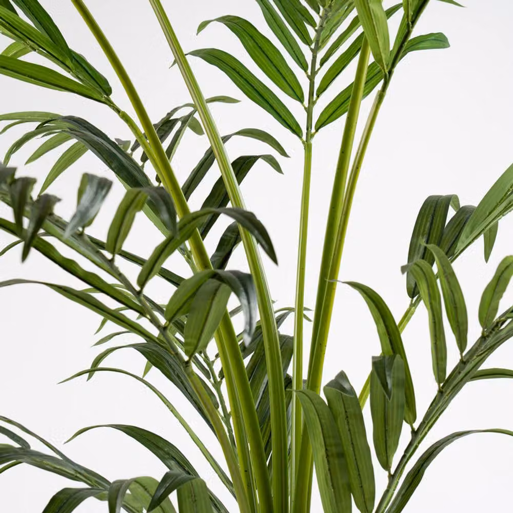 Scottish Everlastings Ltd 190cm Real Touch Palm Tree in Green – 3