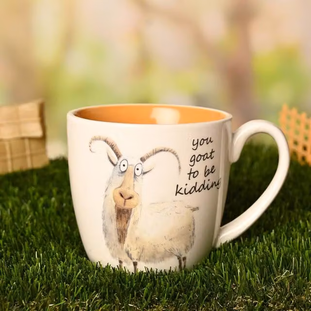 Funny Farm You Goat to be Kidding Ceramic Mug in Orange, White and Multicolour