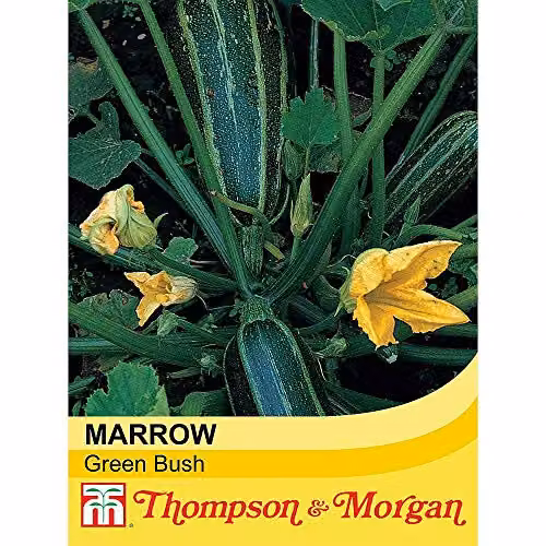 Thompson & Morgan Green Bush Marrow Vegetable Seeds, 20 Seeds per Packet – 2