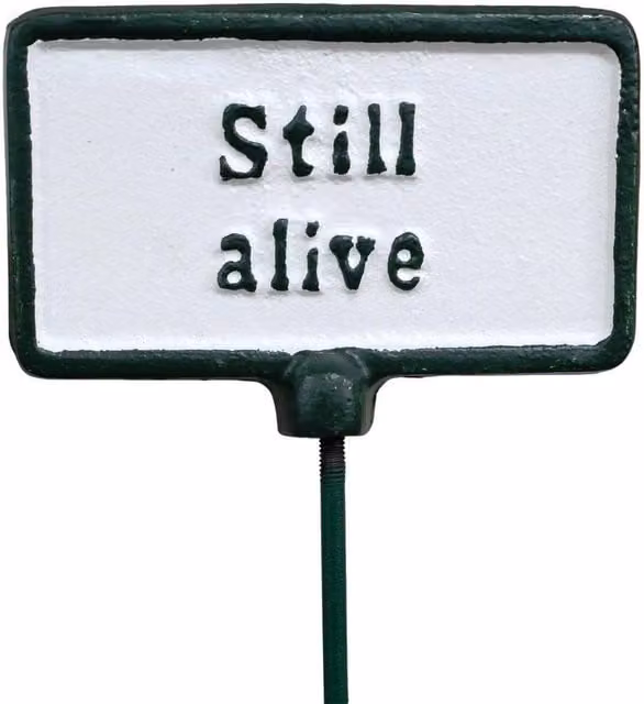 Gifts Direct 2 U Still Alive Garden Stake Plant Sign in Green and White Metal
