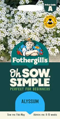 Mr Fothergill's Oh Sow Simple Alyssum White Flower Seeds – 1