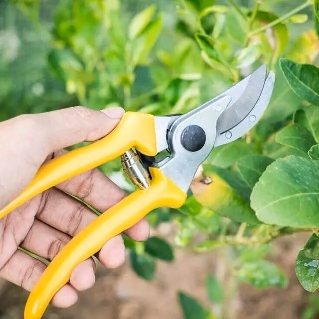 Garden Mile Soft Grip Bypass Secateurs in Yellow with Steel Blades