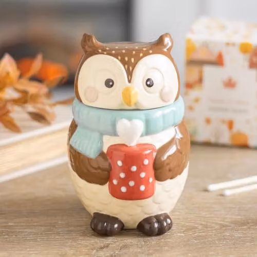 Something Different Wholesale Owl Shaped Ceramic Oil Burner in Multicolour and Brown