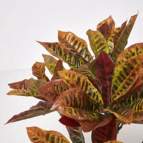 Homescapes Rushfoil Artificial Potted Croton Plant in Red and Multicolour with Black Pot, Height: 65 cm – 3