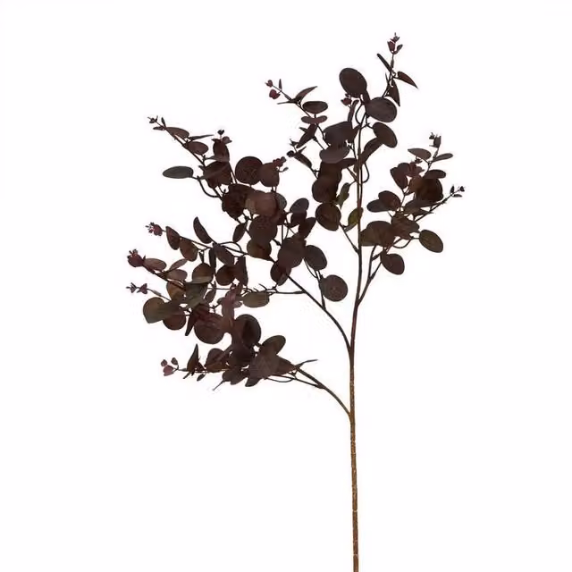 Lemon Pavilion Eucalyptus Single Stem Bunch in Burgundy Red, Height: 75 cm