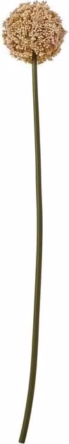 Hill Interiors Allium Stem Artificial Pink Plastic Plant