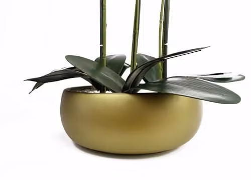 Leaf Design UK Realistic Artificial Orchid Flower Display in a Green, Black and Gold Ceramic Planter, Height: 60 cm, Width: 40 cm, Depth: 40 cm – 3