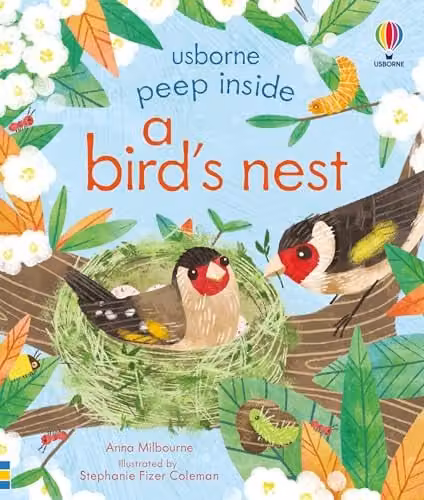 Usborne Peep Inside a Bird's Nest Board Book by Anna Milbourne, Multicolour