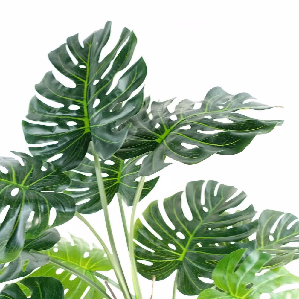 Botanik Leaf 150cm Artificial Monstera Plant in a Green Copper Metal Planter with Black Pot – 2