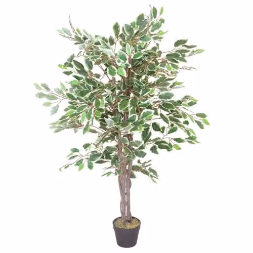 Leaf Realistic White Edge Ficus Artificial Tree in Green and White, Height: 130 cm – 1
