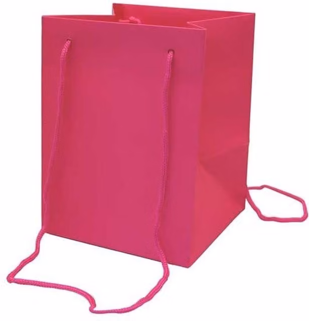 Kingsbury Gifts Pink Paper Hand Tie Gift Bag H: 25 cm