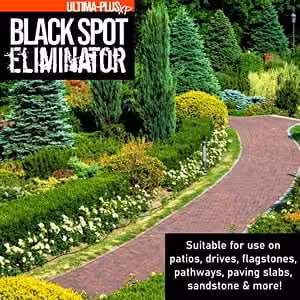 Ultima-Plus XP Black Spot Eliminator for Patio, Stone and Block Paving, 15 l – 3