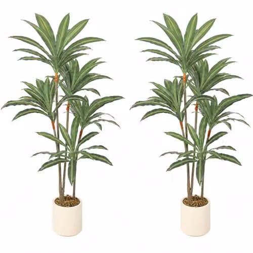 HOMCOM Set of 2 Artificial Dracaena Trees with Bendable Trunks, Green and White, Height: 150 cm