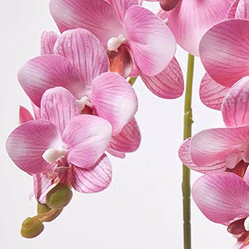 Homescapes Pink Artificial Orchid in a Grey Ceramic Pot, Height: 54 cm – 2
