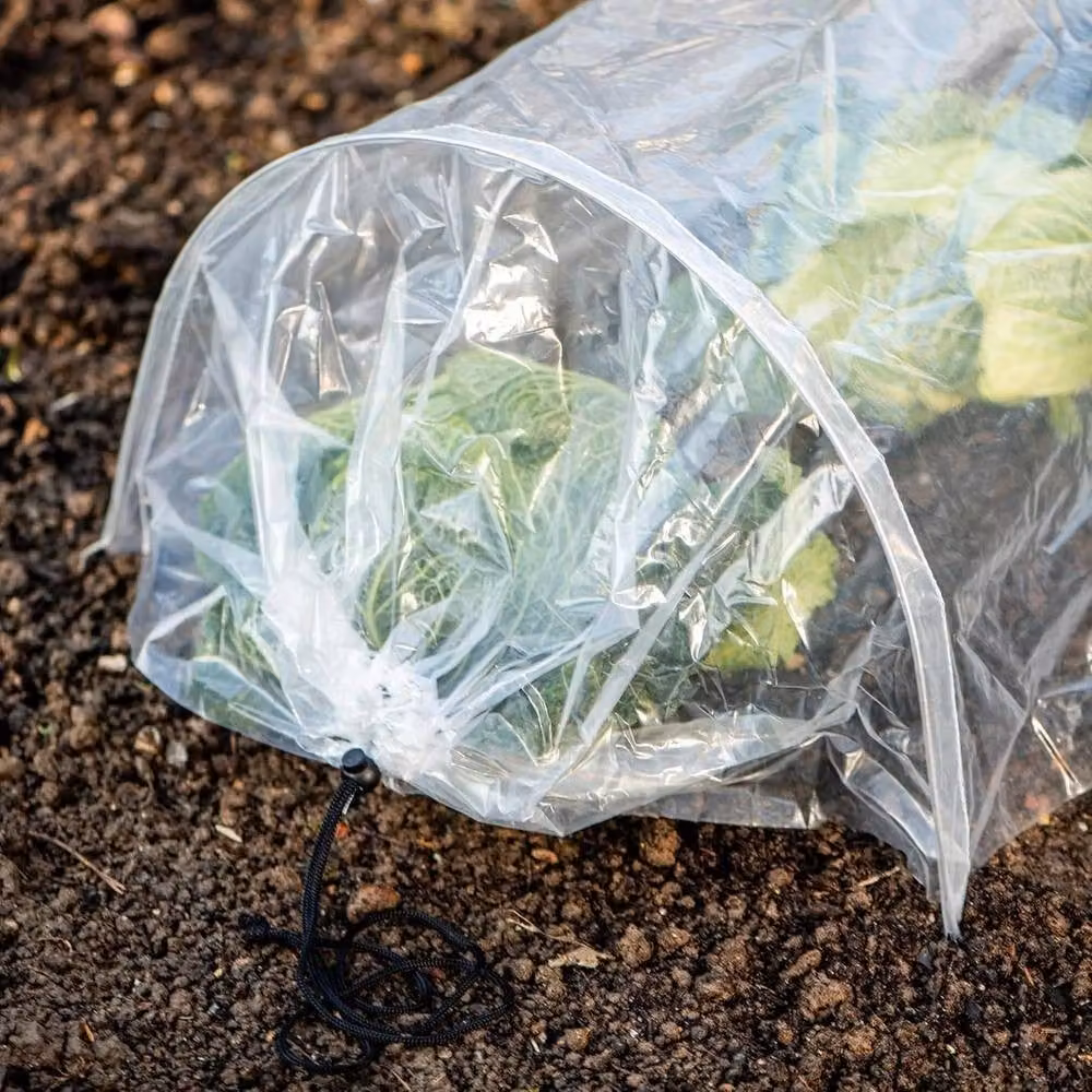 FLAVORA 2-Piece PE Greenhouse Tunnel Grow Cover Polytunnel in Clear, W/D/H: 100 x 15 x 15 cm – 4