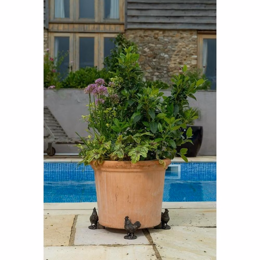 Jardinopia Buff Orpington Chicken Plant Pot Feet, Set of 3, Bronze, W7 x D6.7 x H9.5 cm – 3