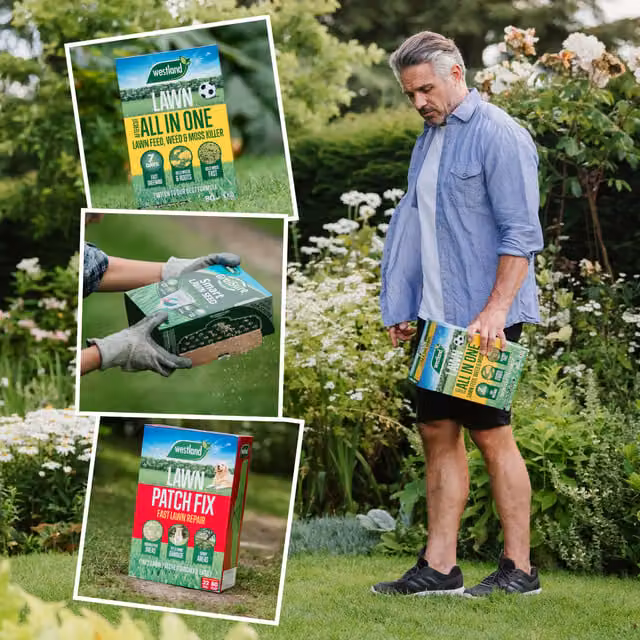 Westland Ultimate LawnCare Bundle for Feeding, Repair, Weed and Moss Control, 10kg, Covers 150m2