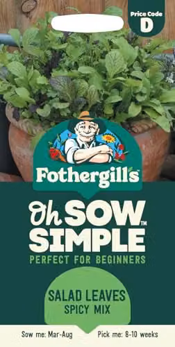 Mr Fothergill's Oh Sow Simple Spicy Mix Salad Leaves Vegetable Seeds