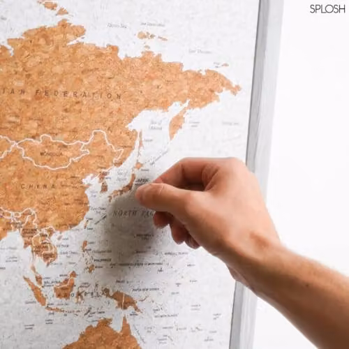 Splosh Grey Framed Travel Map Cork Board with 100 Pins – 4