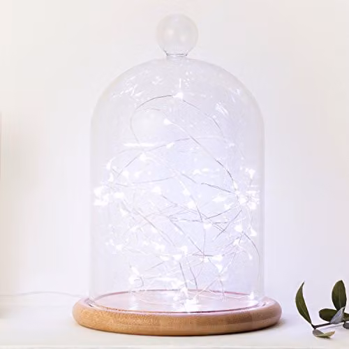Lights4fun Indoor Fairy String Lights with 50 Cool White Micro LEDs on Silver Wire, Battery Operated, 4.95m – 2