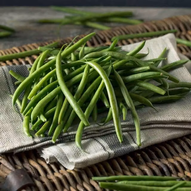 Marshalls Garden Green Climbing French Bean Vegetable Seeds, 50 Seeds
