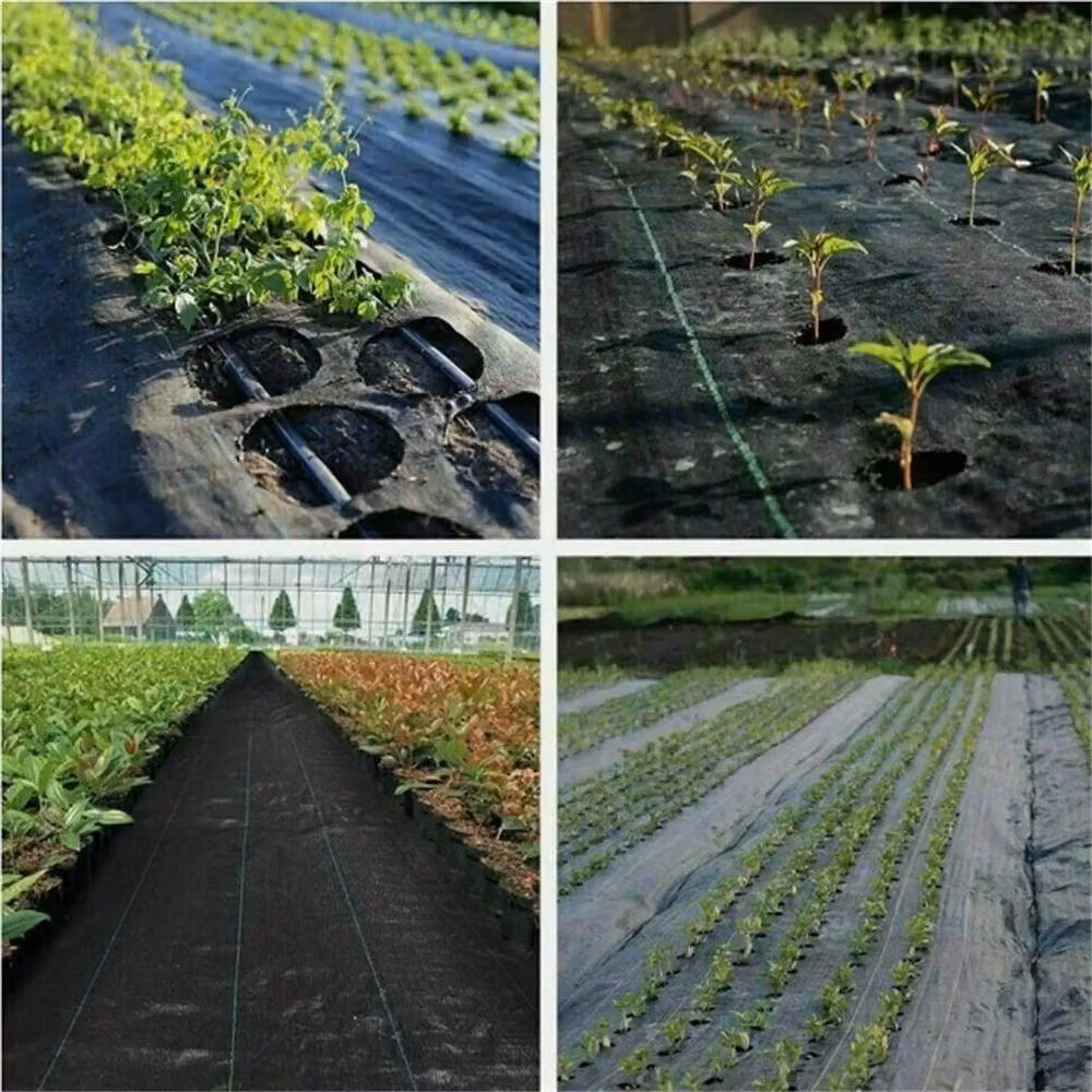 EONLION Black Weed Control Fabric Garden Liner Landscape Membrane, W: 1 m, L: 10 m – 5