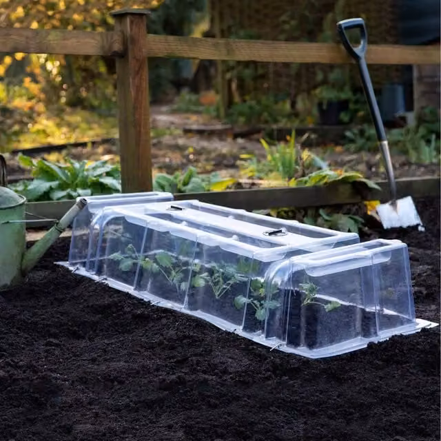 Thompson & Morgan Transparent Plastic Mini Greenhouse Cloche for Vegetable Gardens