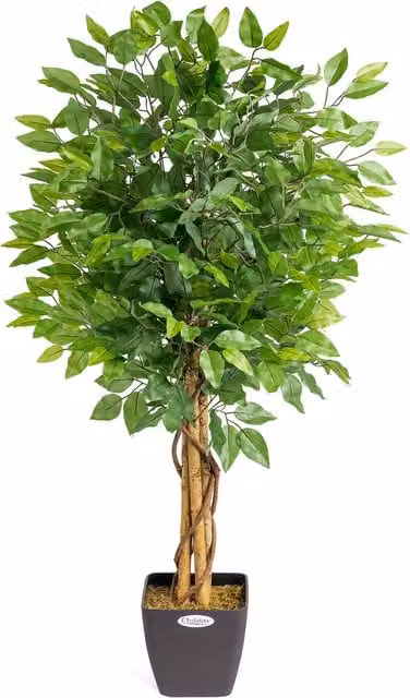 Christow Artificial Green Ficus Tree in Pot, Height: 120 cm