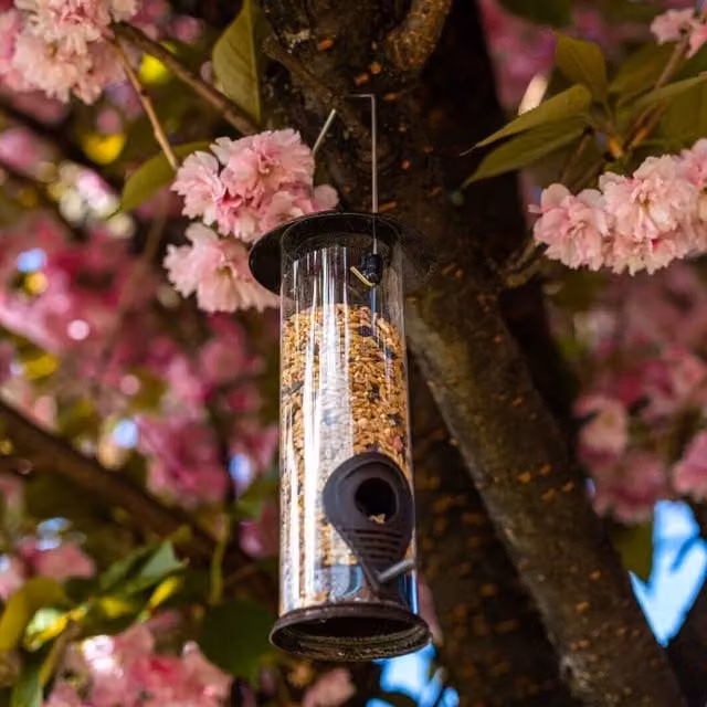 Garden Mile Premium Hammertone Metal Seed Bird Feeder in Green