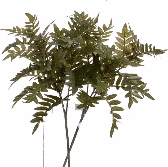 KDMK Organic Vibrant Pistach Bunch in Green