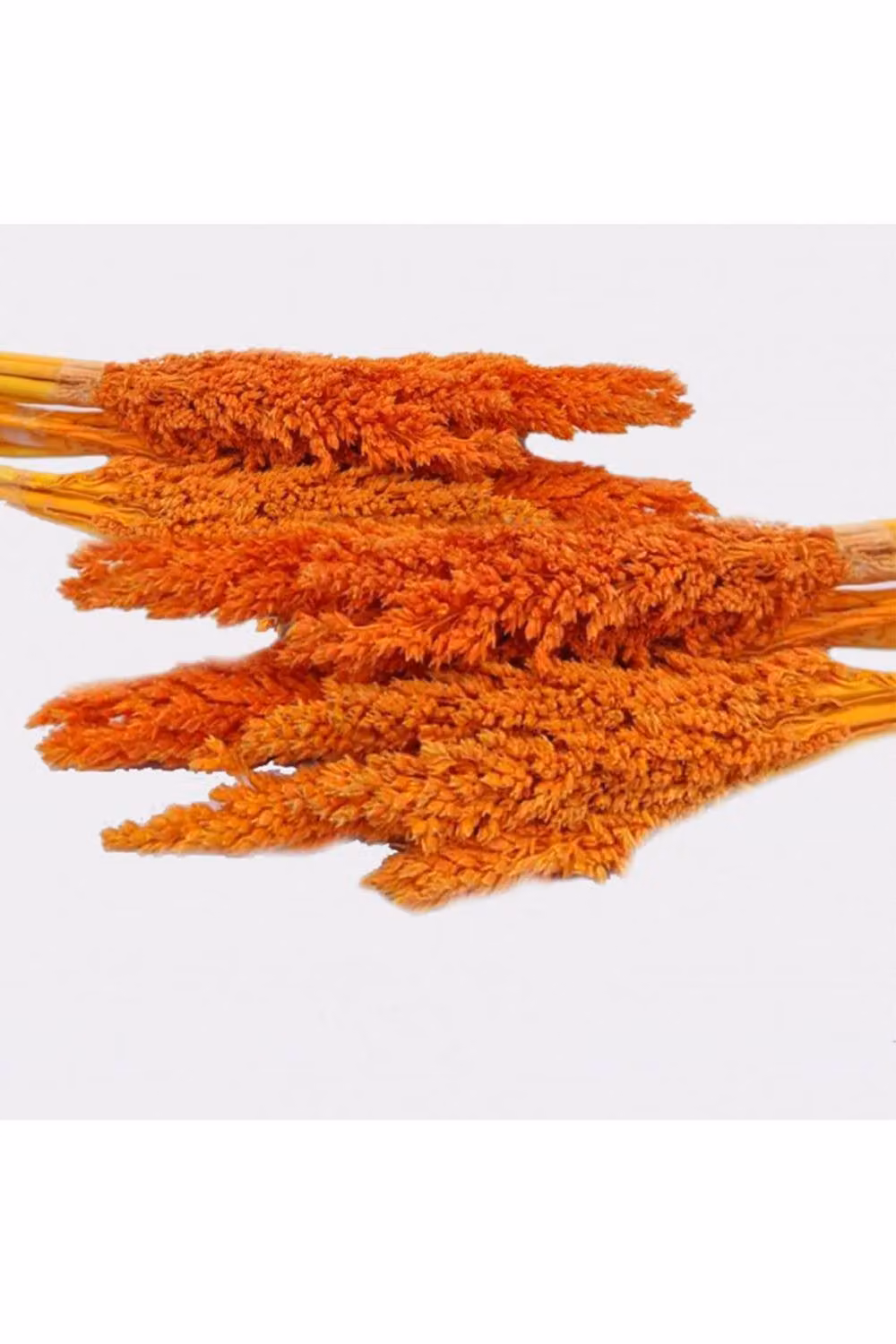 KDMD Organic Orange Dried Cantal Grass Bunch for Rustic Floral Decor and Crafts – 2