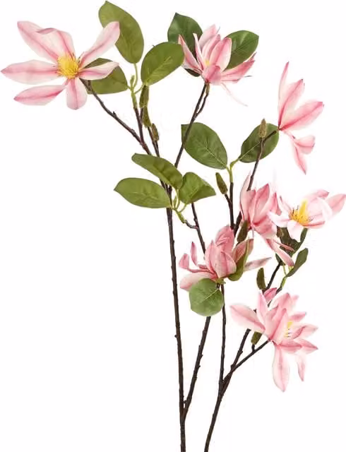 Artificial Pink Magnolia Floral Single Stem with Leaves, Height: 20 cm