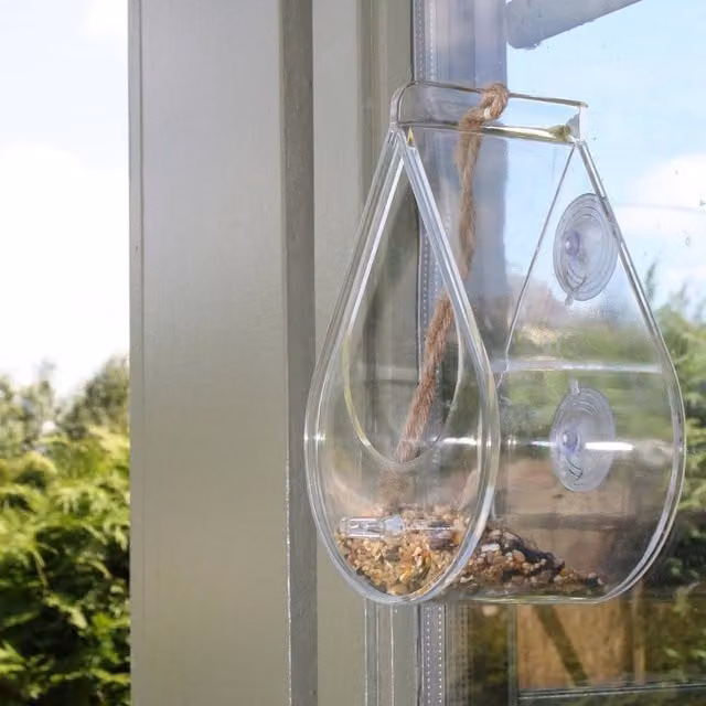 Wildlife World Dewdrop Window Bird Feeder in Transparent