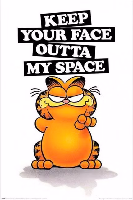 Garfield Keep Your Face Maxi Paper Poster in Orange