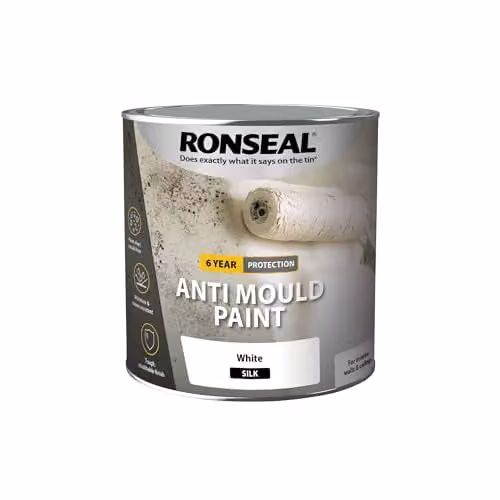 Ronseal Anti Mould Paint White Satin Gloss 2.5l
